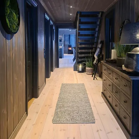 Modern With Inout In Great Area