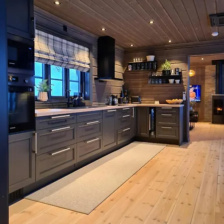 Modern With Inout In Great Area 度假居 Brunstad